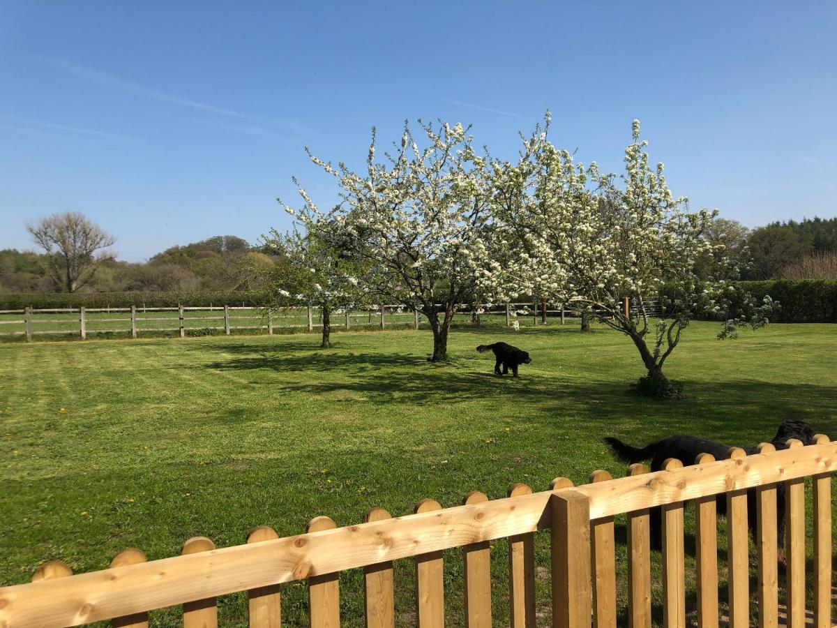 1 Barn Cottages Whitchurch  Extérieur photo